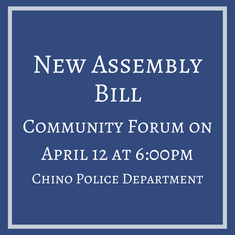 New Assembly Bill
