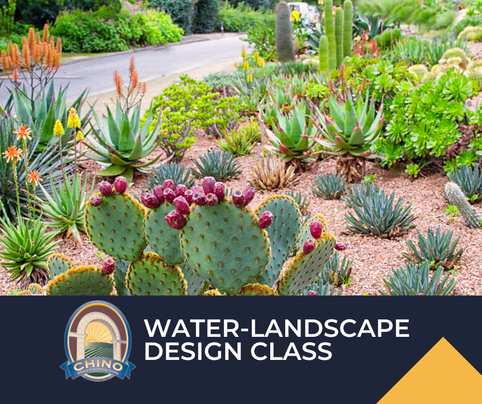 water-landscape design class