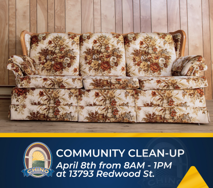 Residential Community Clean Up
