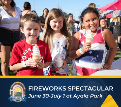 Fireworks Spectacular