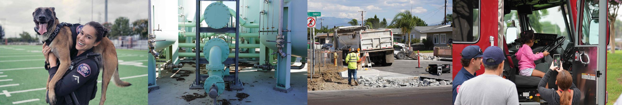 Chino Fact Sheet Photo 1