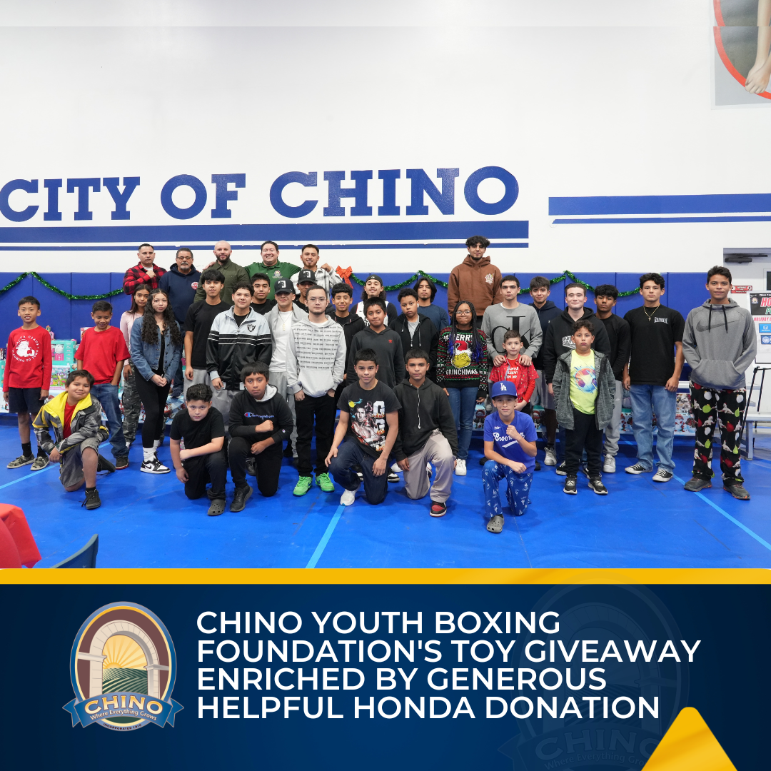 Boxing Toy Giveaway Helpful Honda